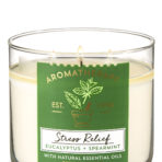 Bath and Body Works USA 3-Wick Aromatherapy Candles